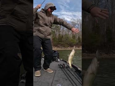😎 This Bass SWALLOWED A Glide Bait! 😎