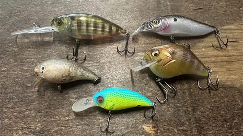 Must-Have Crankbaits Needed To Catch Bass In July…
