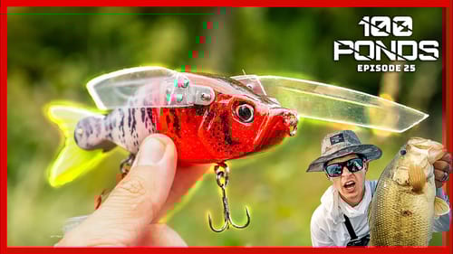 Pond Swimbait Catches MONSTERS! ("100 Ponds" Ep. 25)