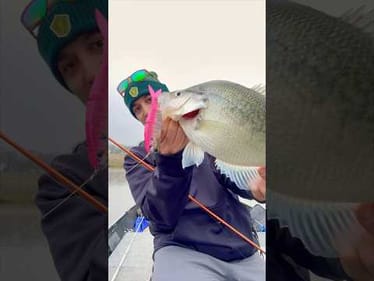 Are Pink Baits Really The BEST Color To Use In Cold Weather? #fishingvideos #fishing