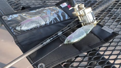 SwimbaitUnderground X DivisionRebelTackle