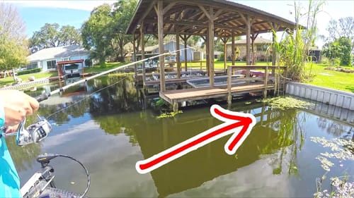 I LOVE THIS LAKE ~ SIGHT FISHING, PUNCHING, Tricks and Techniques