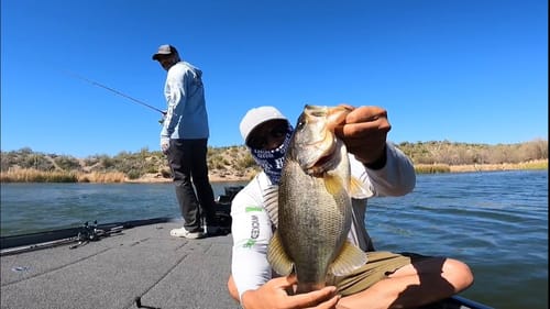 Bass Fishing HURTS My FEELINGS