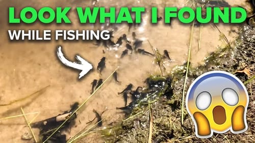 LOOK WHAT I FOUND While Fishing