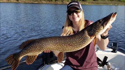 Biggest Pike of my Life!! (Sketchy)