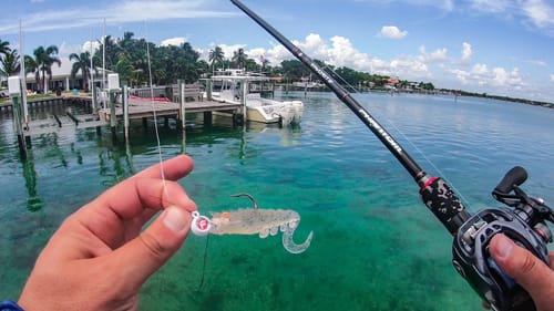 Weird Random Inshore Fish Catches Save the Day