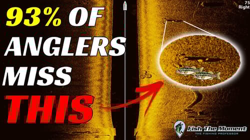 These Are The Hardest Bass To Identify With a Fish Finder