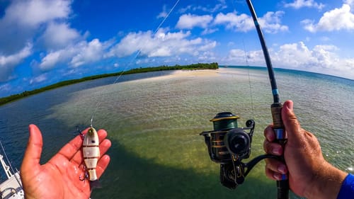 Fishing Huge Saltwater Barrier Islands with Swimbaits