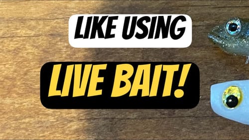 Bass Eat These Two Finesse Swimbaits Like Candy
