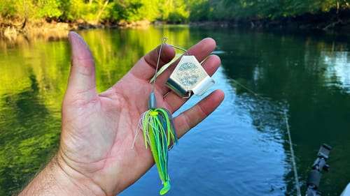 I Have Been Waiting to Fish This...