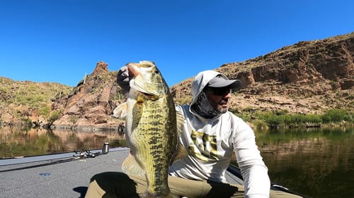 Crazy Catch Alert: Epic Sight Fishing for Big Bass!