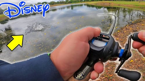 Sneaking into DISNEY WORLD Ponds!