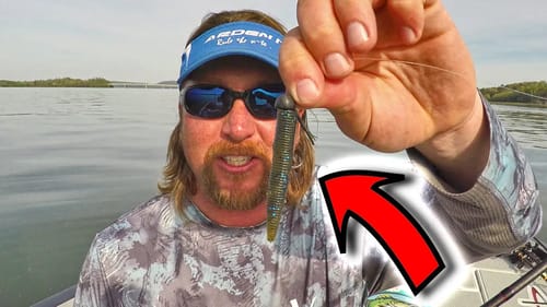 WHY the NED RIG WORKS!??!?  Featuring JT KENNEY