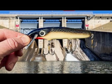 The Fish of my DREAMS was Inside This Spillway!!! (New PB)