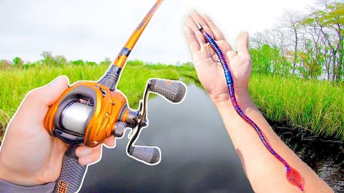 RECORD Day of BIG Worm Fishing! (LOADED w/ Bass)