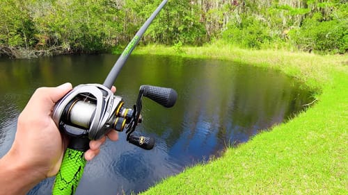 Fishing a HIDDEN Swamp for GIANT Bass! (Bank Fishing)