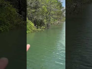 Spawning Bass
