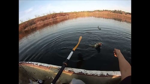 Fall Bass Fishing(San Joaquin River)