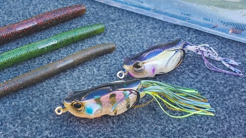 Summer Bass Fishing: Senko And Frog Fishing Tricks
