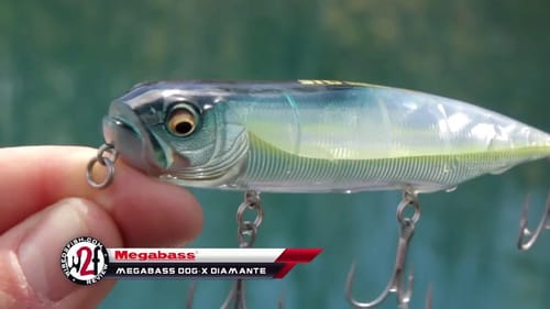 Megabass Dog-X Diamante Underwater Video