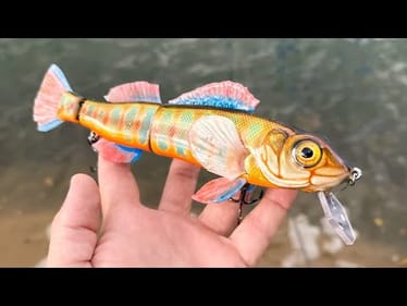 Making a Cherokee Darter Lure | World Record Size