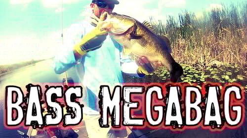 Bass Megabag 37lbs Flipping