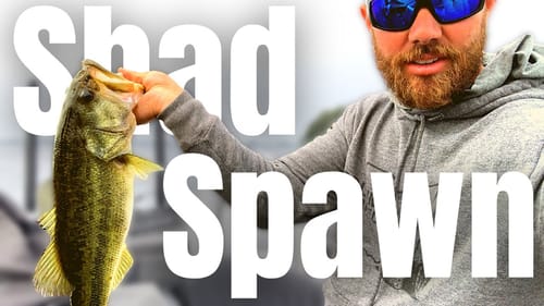 BEST Hour Of BASS FISHING You Will Ever Experience