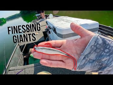 WE WON!! Finessing Untouched Summer Bass || Jon Boat Tournament Fishing