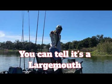 How to identify Florida Largemouth Bass | Neature Fishing | #fishing #travel #trending 