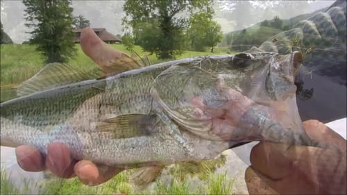 My "GO TO" BAIT that CATCHES BASS even on the TOUGHEST DAYS  || 100° F ||