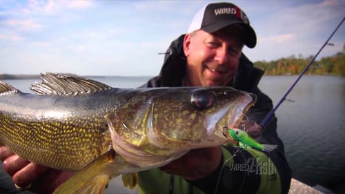 How to Power Jig Open Water Walleyes