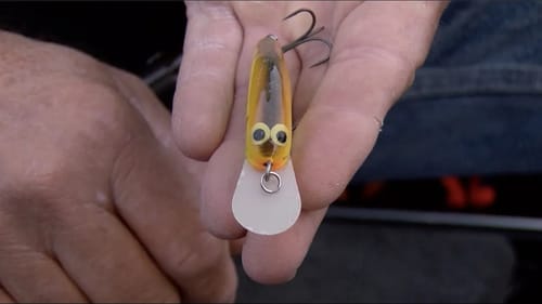 Matt Herren loves Flat Side Crankbaits in cold water