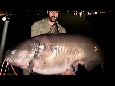 You WON’T BELIEVE the WEIGHT of this CATFISH!!