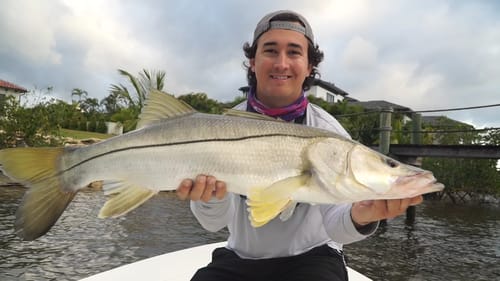 Big Fish on Jerk Baits