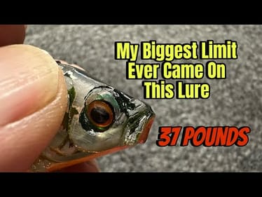 I Caught A 38 Pound Limit On THIS Unknown Lure…(Technique Explained)