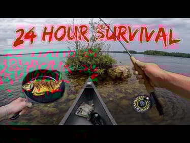 24 HOURS SURVIVING On An ISLAND! (Catch N’ Cook)