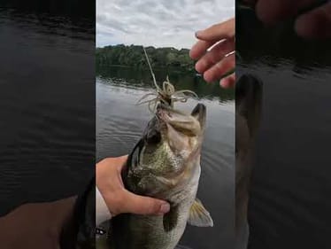 I slept on these baits 😅