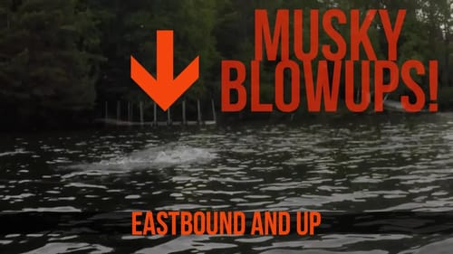 The Fish of 10000 casts - musky fishing fails