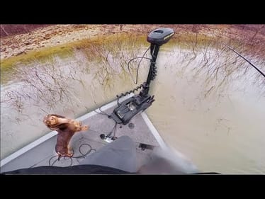 Big Fish CRUSHES Lure in Thick Brush -- Rain Storm Fishing