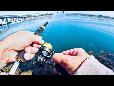 The BIG USA TRIP - The First Fish! San Diego, Day 1