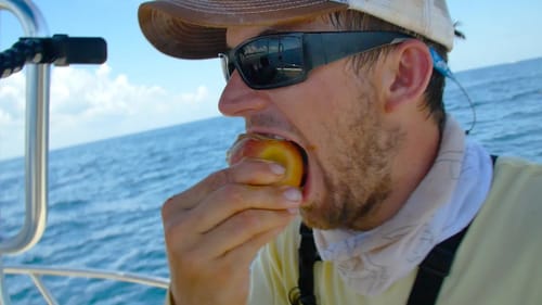 Snack Foods and Shark Bait ft. BlacktipH
