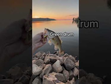 Fishing a new lake paid off  #fishing