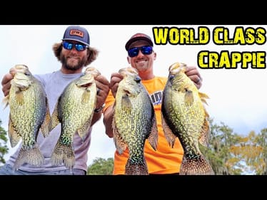 INSANE Crappie Fishing with LIVESCOPE! Watch It All Unfold! (MONSTERS w/ McCormick)