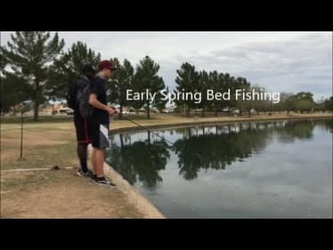 Early Spring Bed Fishing ft Allaroundfishing1