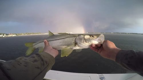 Insane Topwater Bite In the Middle of a Storm