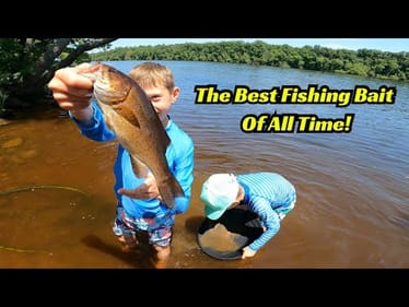 This is the #1 Fishing Bait of All Time! It Can’t Be Denied!