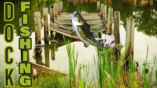 Dock Fishing Secrets for How to Catch MONSTER Bass on Jigs