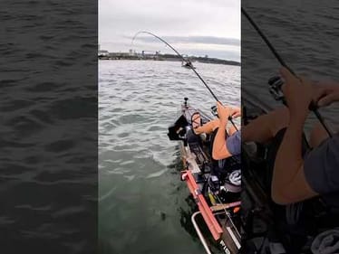 Hooked into a Lake Erie drum session.