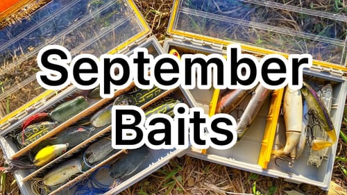 The Baits for September - Bass Fishing