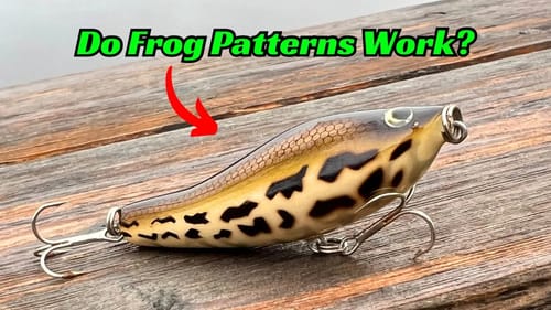 This Is The Most Underused Fishing Lure Color In The History Of Bass Fishing!